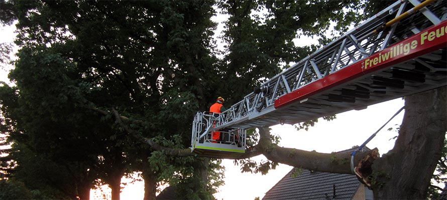 Baum droht auf Straße zu stürzen